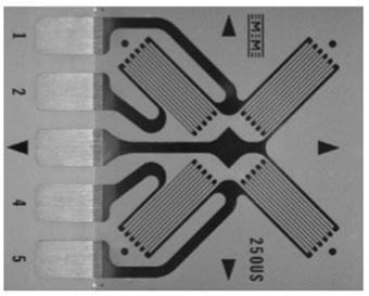 應變計結構 應變計結構